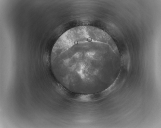 X0000111480178200908041129