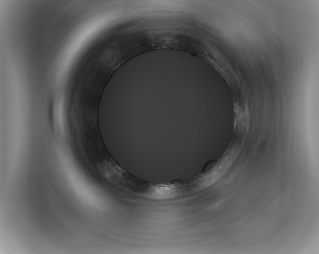 X0000111480189200908041129
