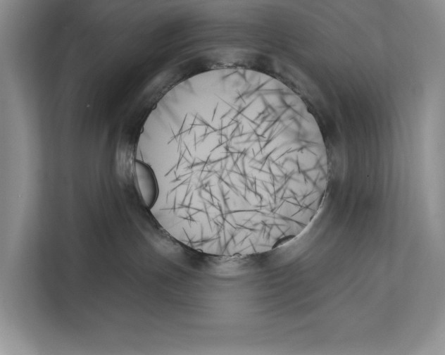 X0000111480191200908041129