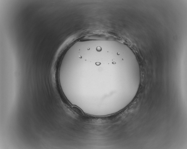 X0000111480197200908041129