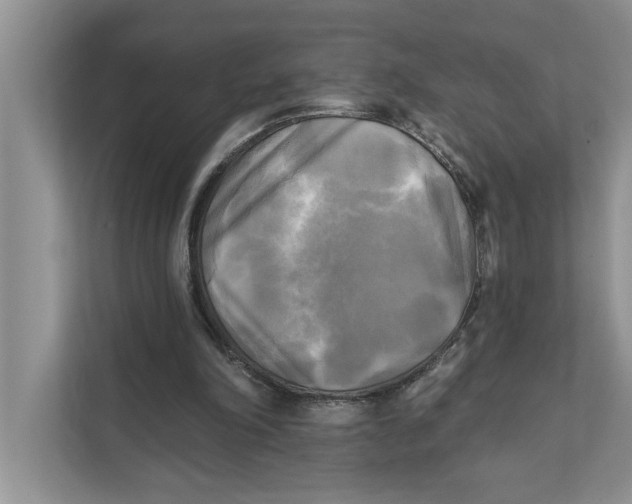 X0000111480198200908041129