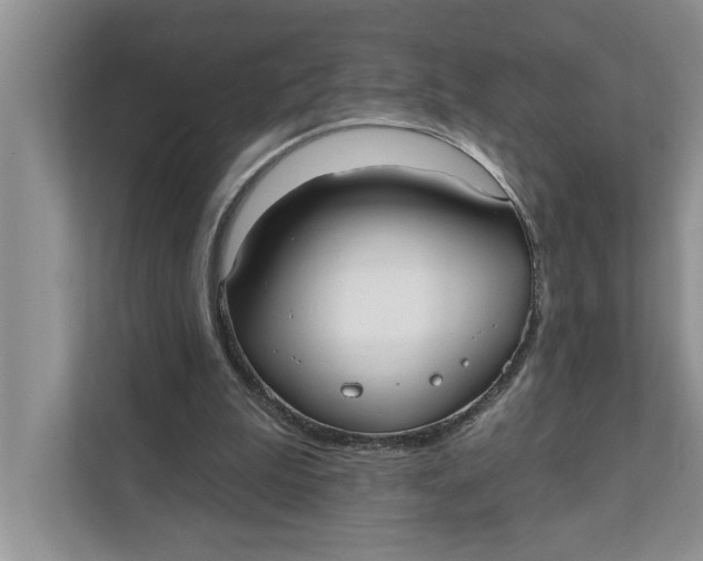 X0000111480199200908041129