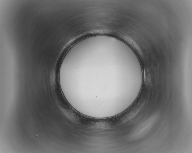 X0000111480204200908041129
