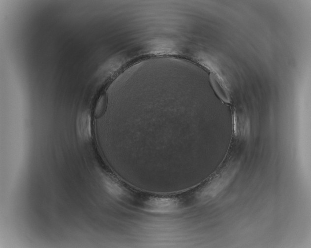 X0000111480205200908041129