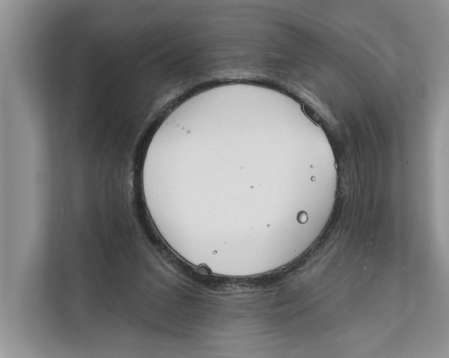 X0000111480207200908041129