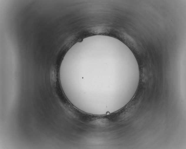X0000111480210200908041129