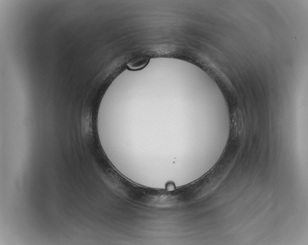 X0000111480212200908041129