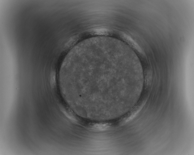 X0000111480213200908041129