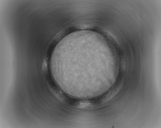 X0000111480214200908041128