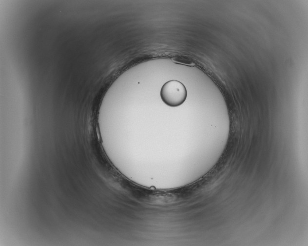 X0000111480215200908041128