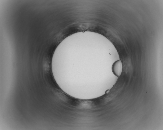 X0000111480226200908041128
