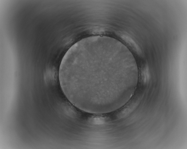 X0000111480228200908041128