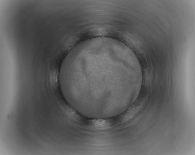 X0000111480230200908041128
