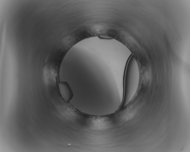 X0000111480235200908041128