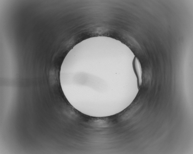 X0000111480236200908041128