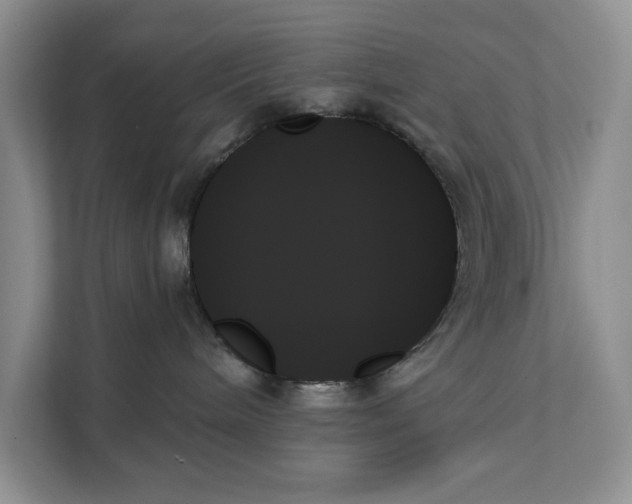 X0000111480240200908041128