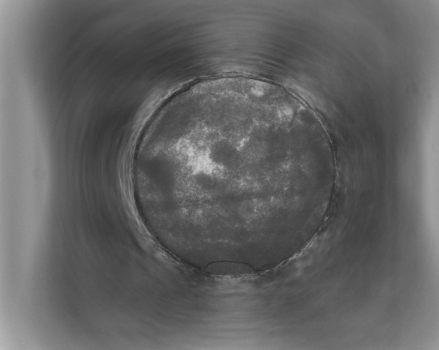X0000111480241200908041128