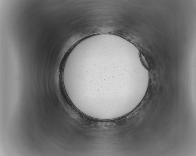 X0000111480242200908041128