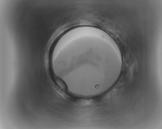 X0000111480247200908041128