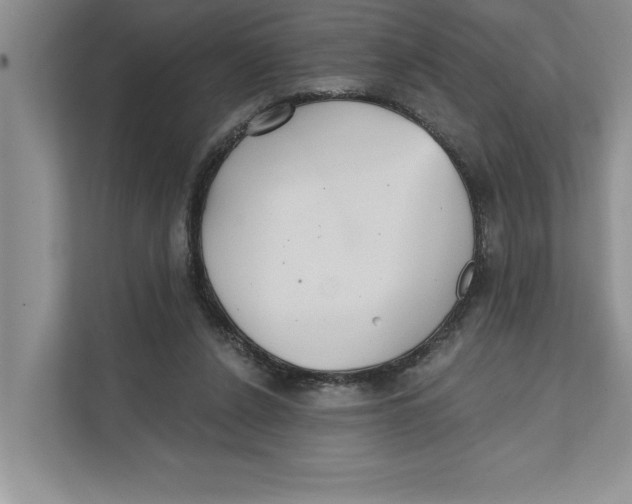 X0000111480256200908041128