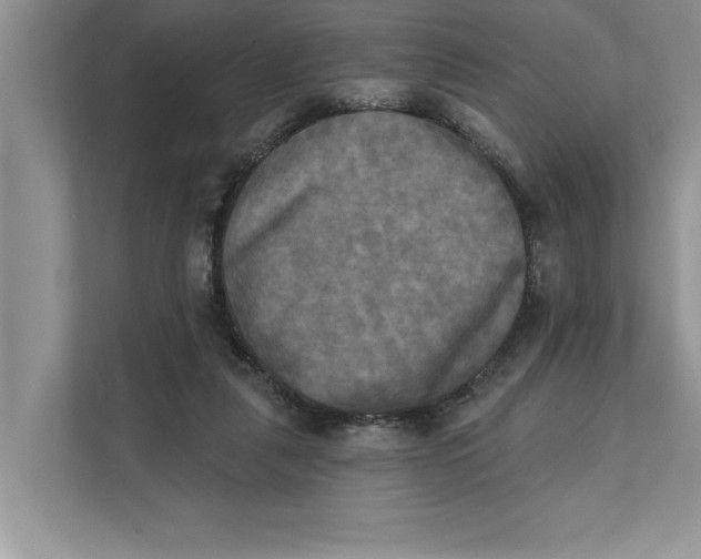 X0000111480259200908041128