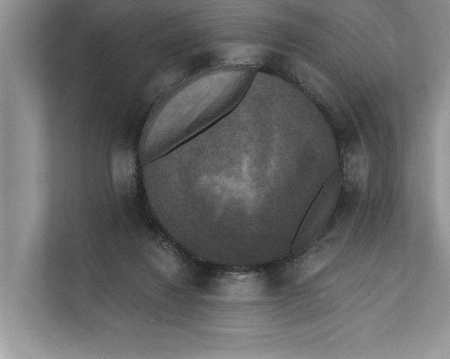 X0000111480260200908041128