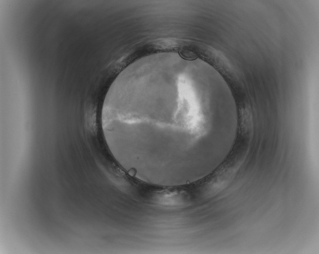 X0000111480267200908041128