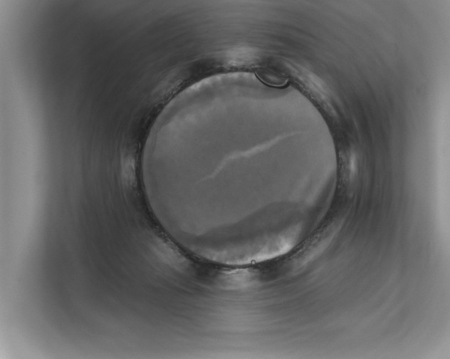 X0000111480269200908041128