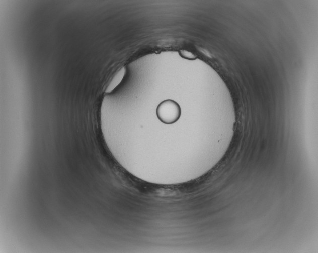 X0000111480272200908041128