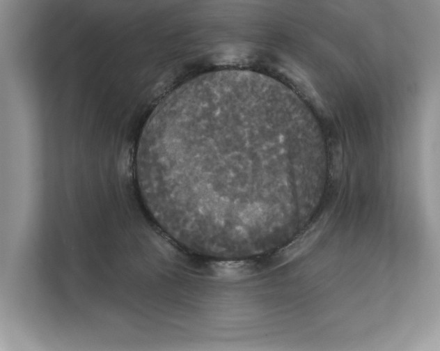 X0000111480273200908041128