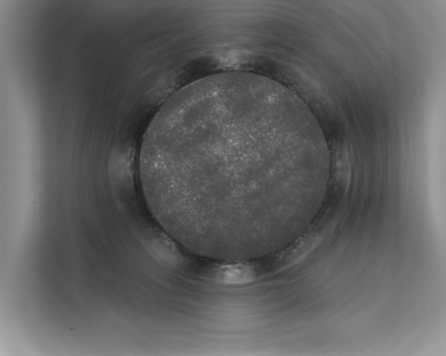 X0000111480275200908041128