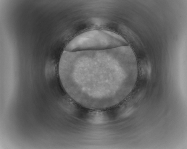 X0000111480276200908041128