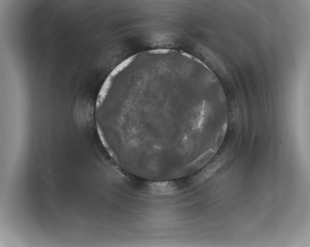 X0000111480281200908041128