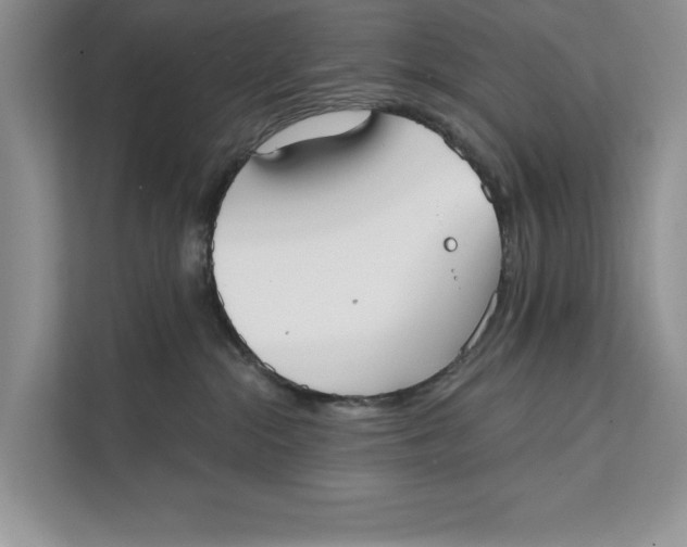 X0000111480284200908041128
