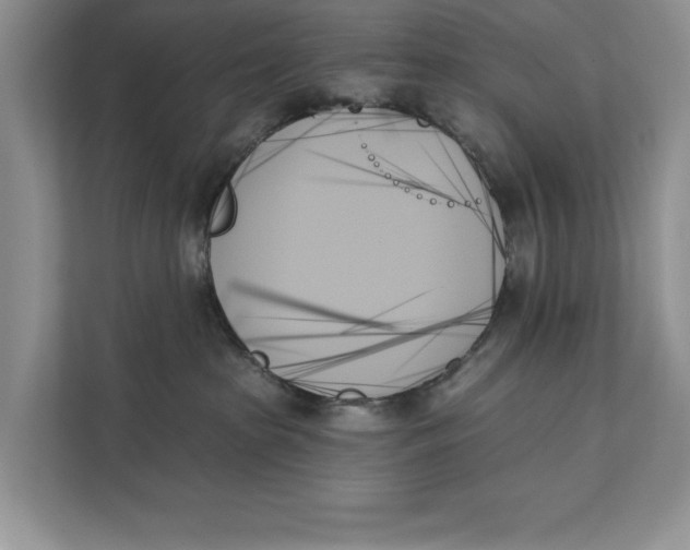 X0000111480285200908041128