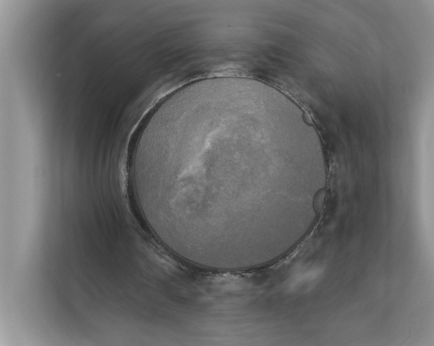 X0000111480290200908041128