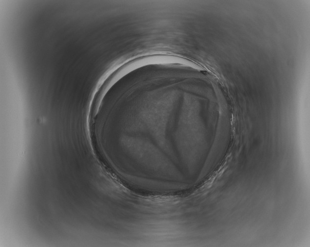 X0000111480292200908041127