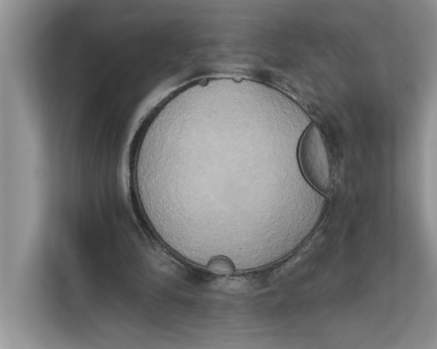 X0000111480294200908041127