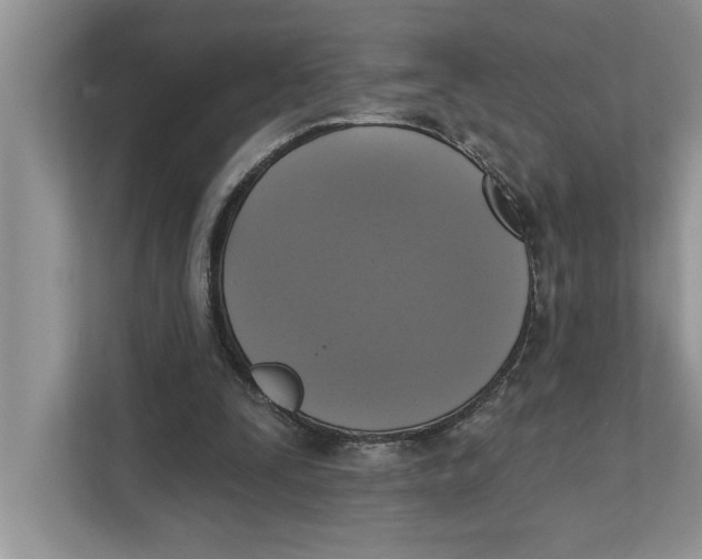 X0000111480295200908041127
