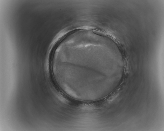 X0000111480296200908041127
