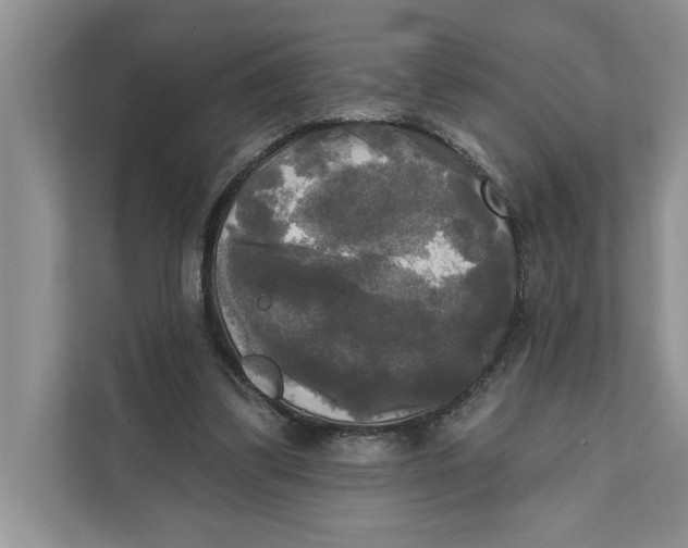 X0000111480299200908041127