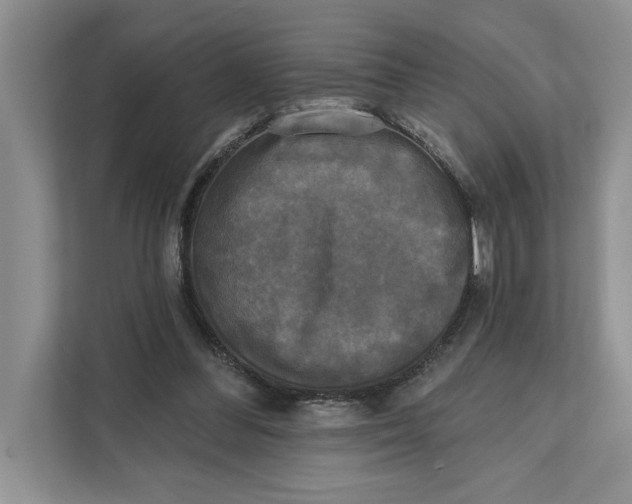 X0000111480300200908041127