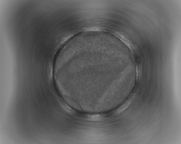 X0000111480301200908041127