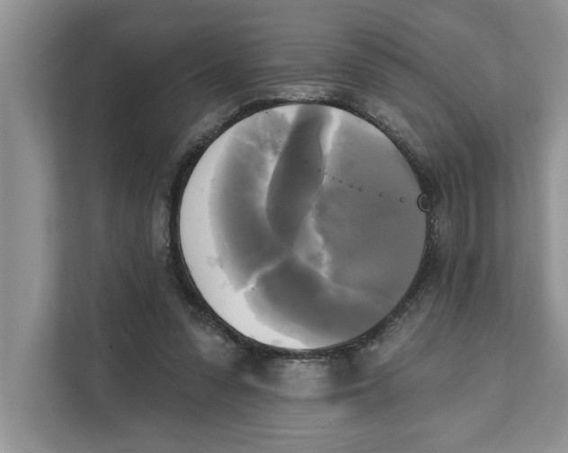 X0000111480303200908041127