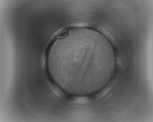 X0000111480304200908041127