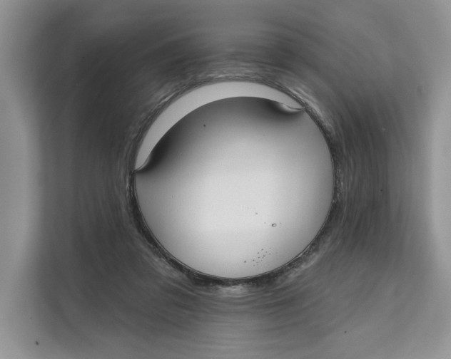 X0000111480309200908041127