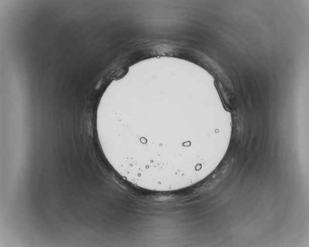 X0000111480313200908041127