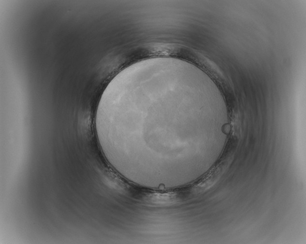 X0000111480314200908041127