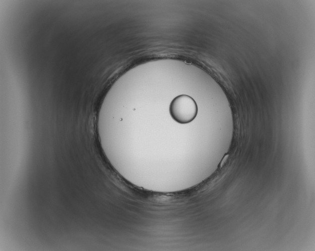 X0000111480325200908041127