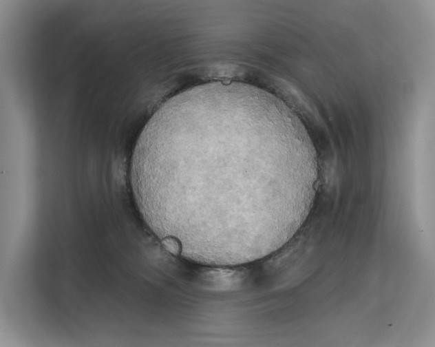 X0000111480326200908041127